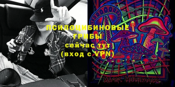 мдма Новодвинск