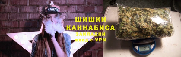 прущий лед Новозыбков