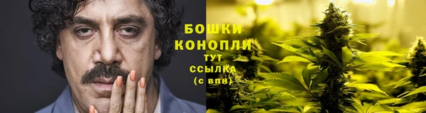 мдма Новодвинск