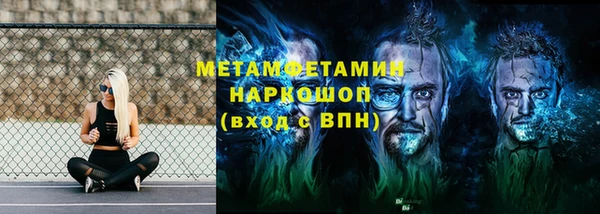 прущие грибы Новокубанск