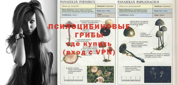 винт Абаза