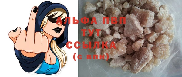 винт Абаза