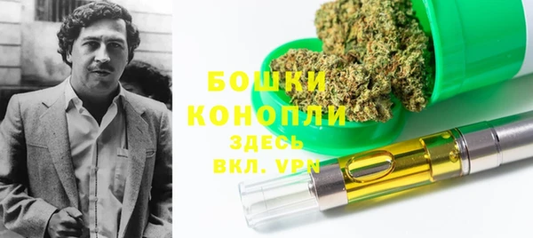 прущий лед Новозыбков