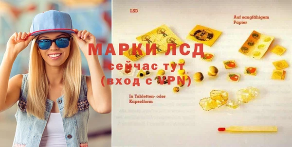 винт Абаза